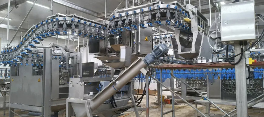 Shandong Taihe transforms its operations with Marel technologies for chicken parts